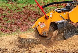 Best Emergency Tree Removal  in Clarendon Hls, IL