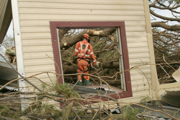 Clarendon Hills, IL Tree Services Company